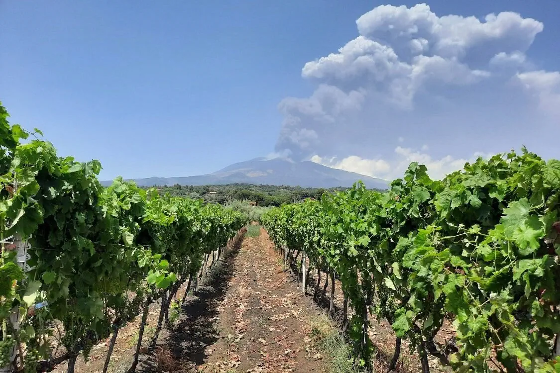 Tenuta Papale e l'Etna
